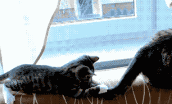 你们是救我还是要害我啊