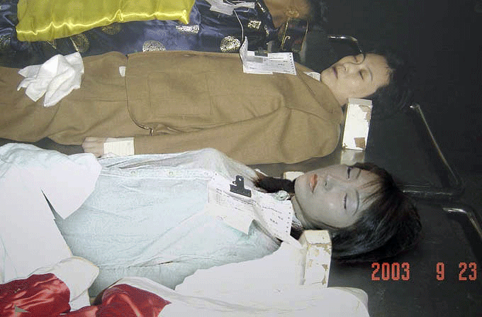 680_447 gif 动态图 动图