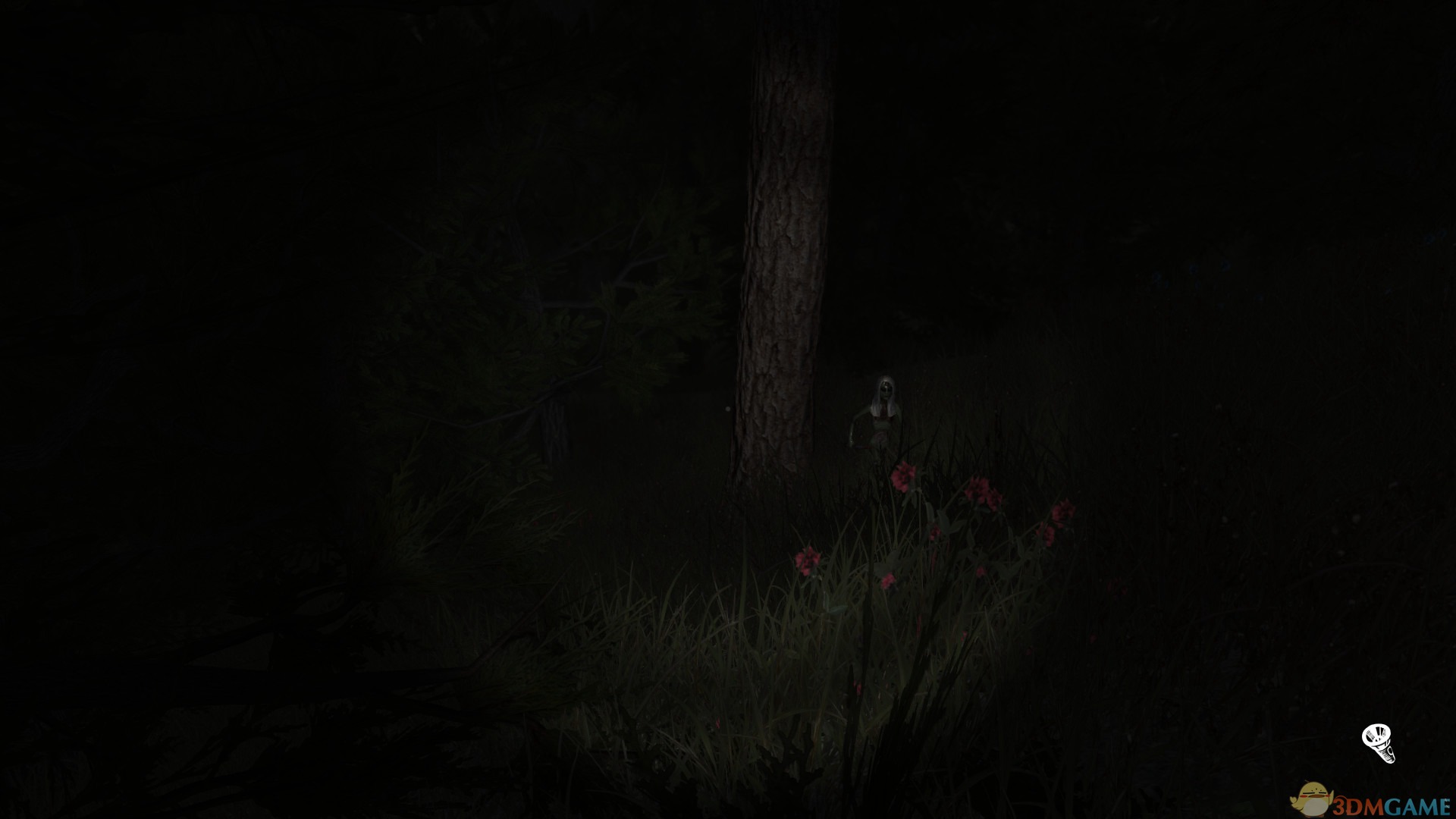 分享（Share）PLAZA破解版