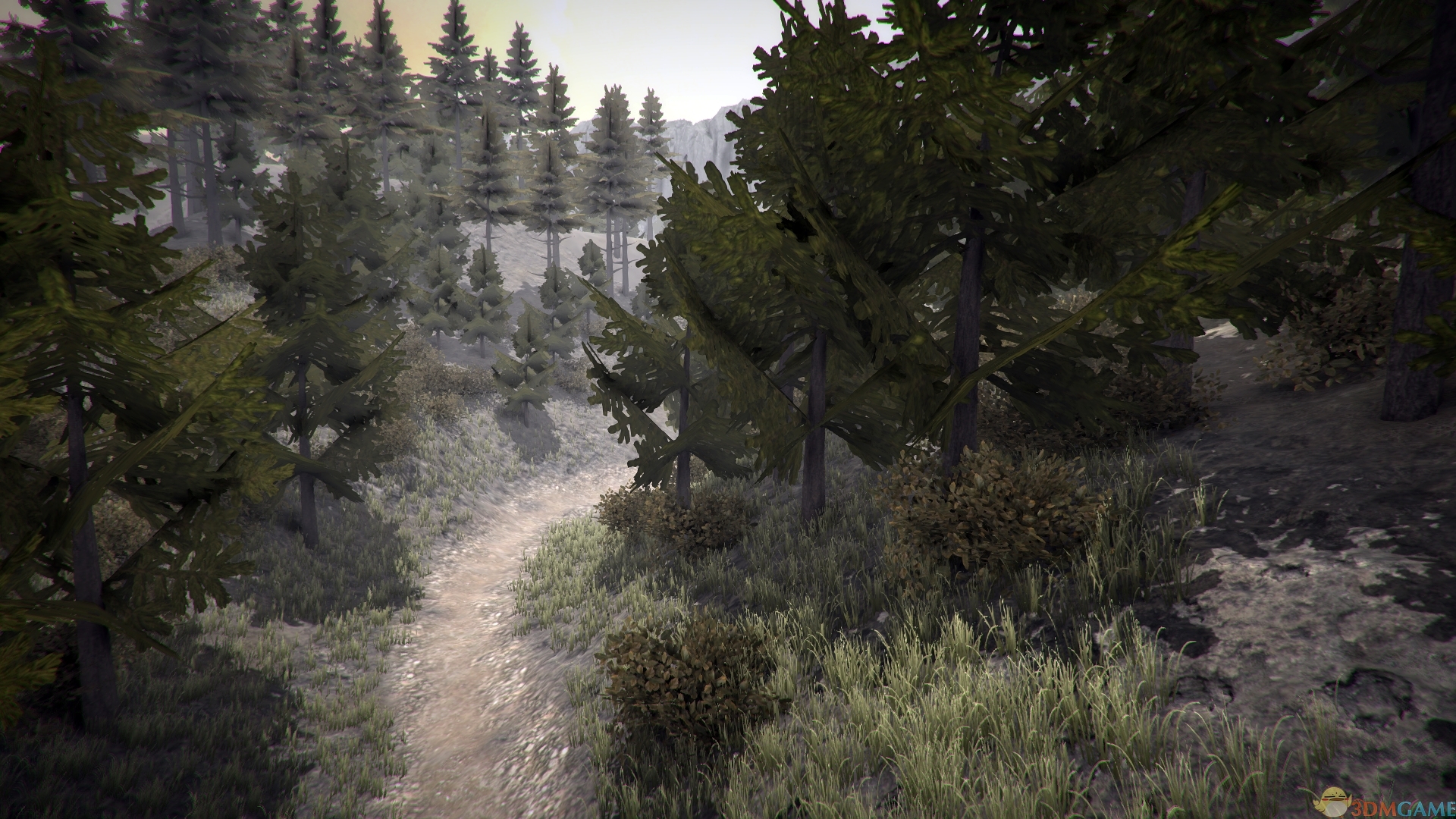 山地车下坡模拟(MTB Downhill Simulator)HI2U破解版