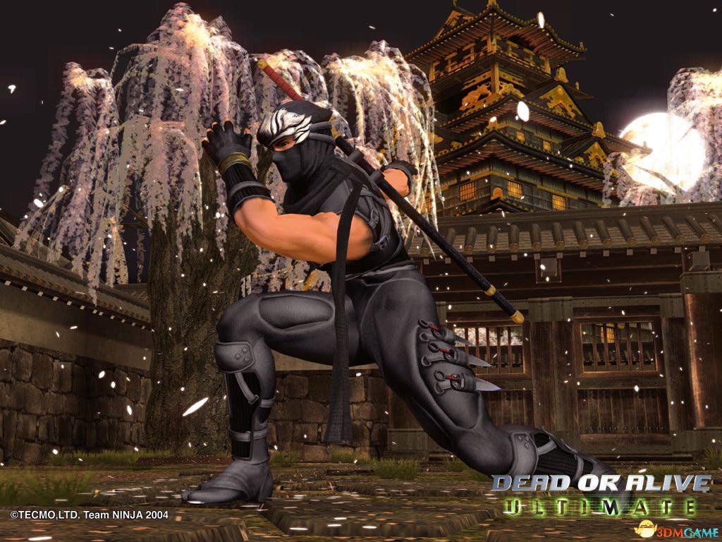 《死或生(dead or alive)》系列角色高清壁纸