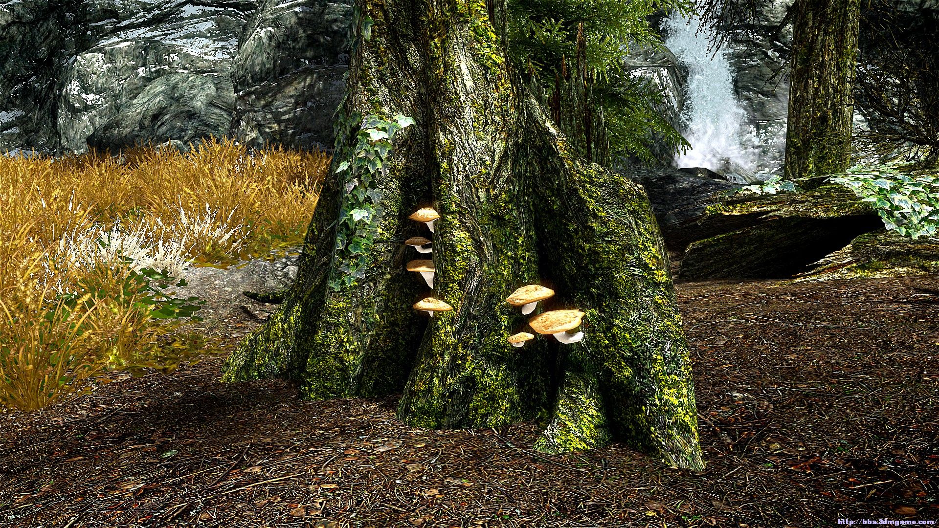 晒个风景图-riverwood-溪木镇(图片已全部更换)