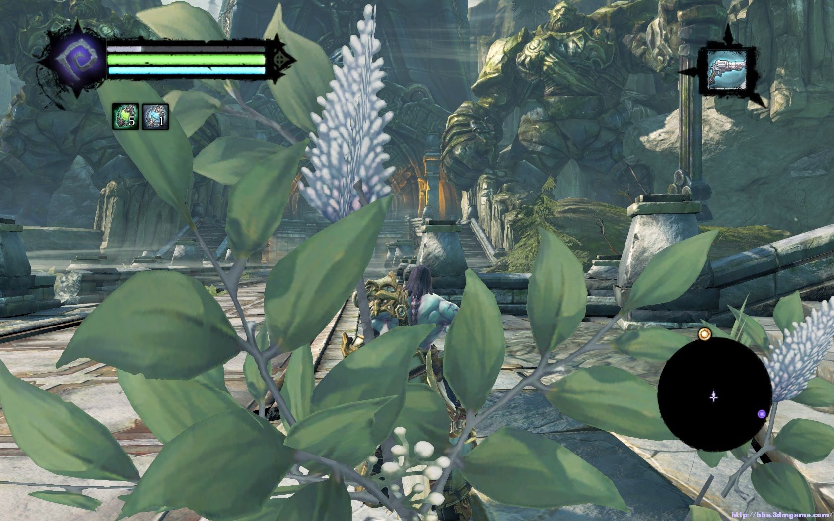 看叶子就知道了.