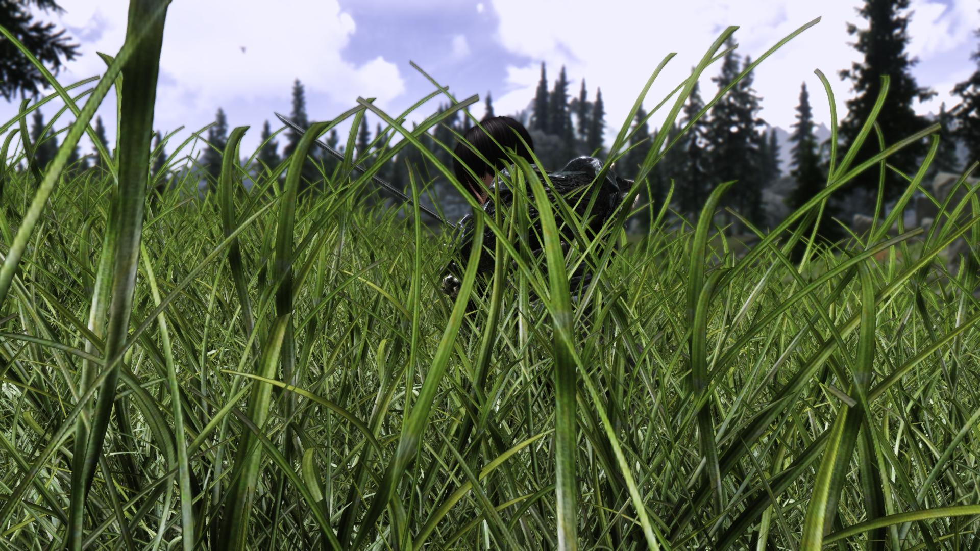 我个人极度不推荐安装的modgrassfield