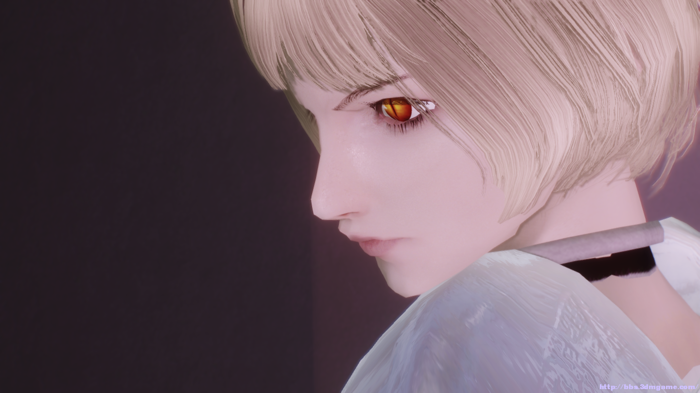 银眼の魔女.克雷雅!《claymore》