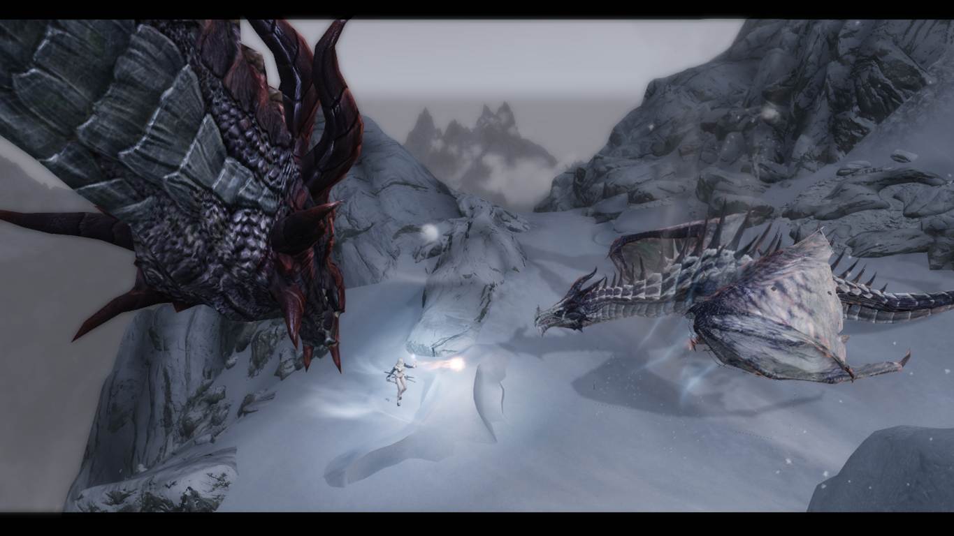 完全无畏於巨龙庞大的身躯与龙吼.