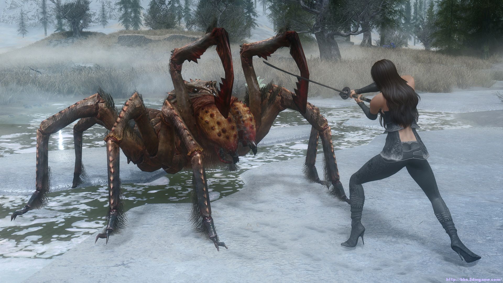 《上古卷轴5:天际》mod美图欣赏 美女剑士勇斗蜘蛛怪!