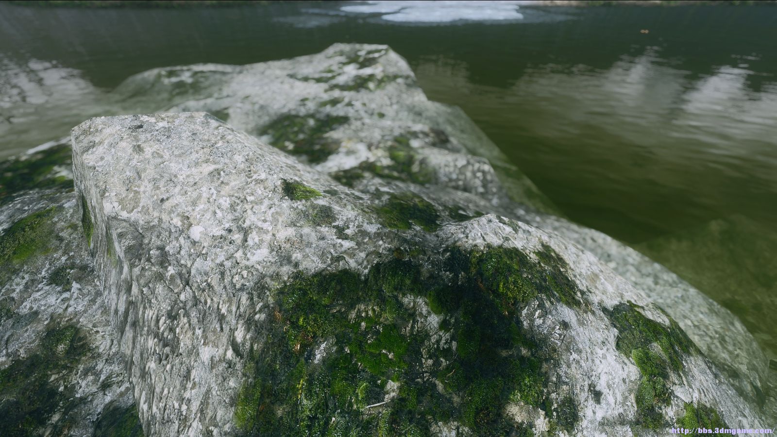 满眼幽绿第二弹这感觉很好