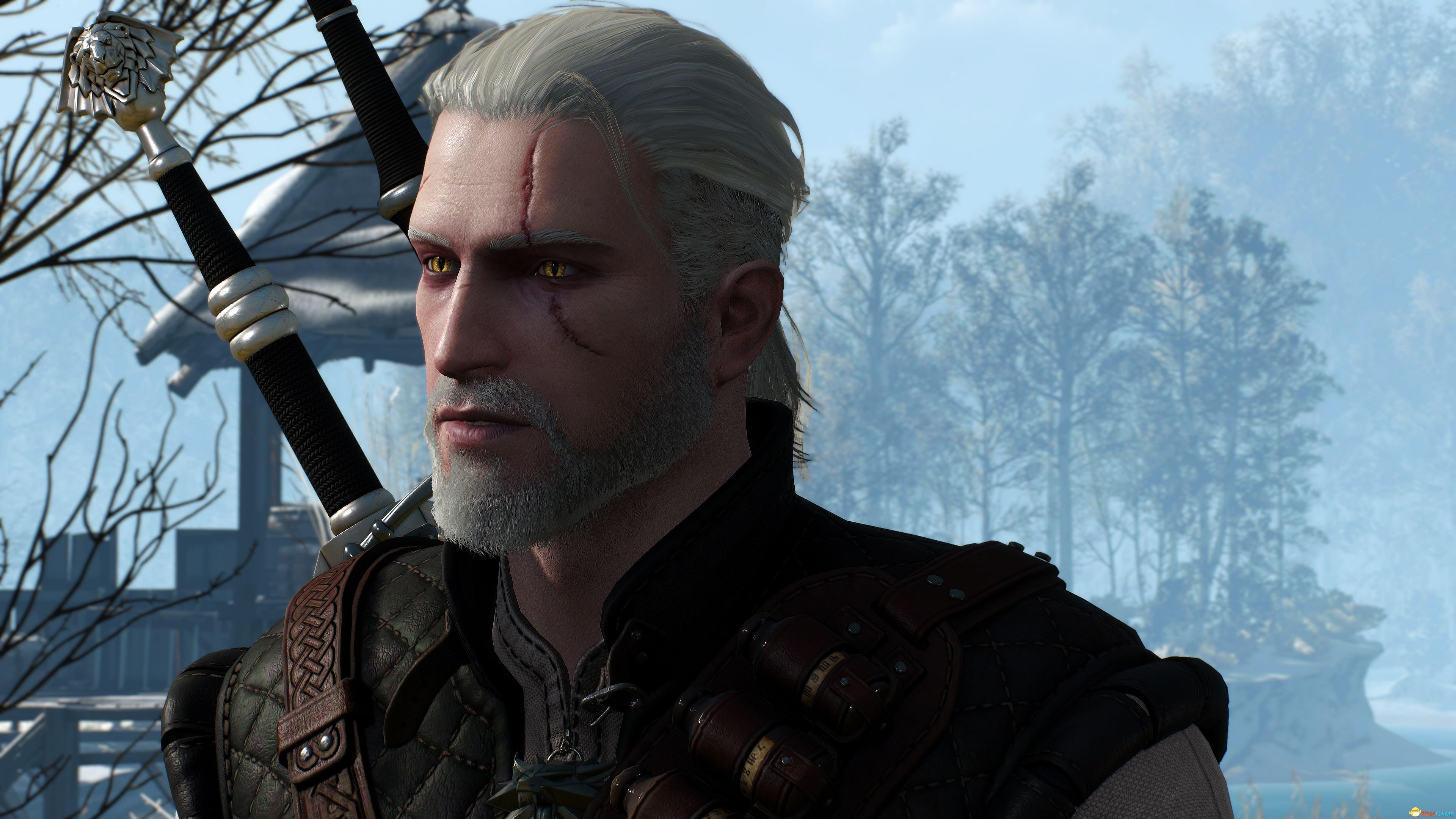 巫师34k分辨率cg级画质截图说巫师3画质不好的请进来看