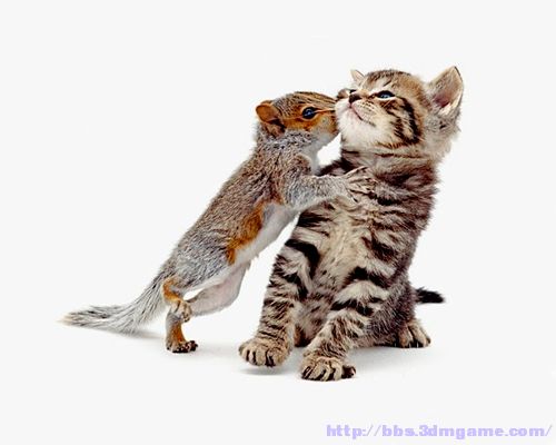 萌友聚会【21p】