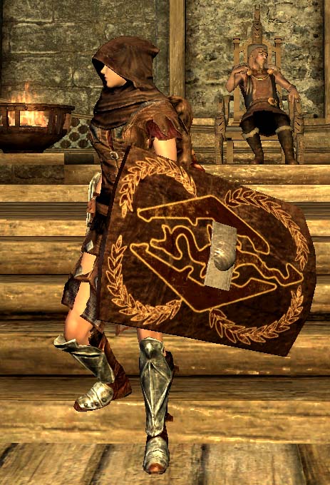 【盾牌mod】老物补源 两个塔盾 重新调整大小做了