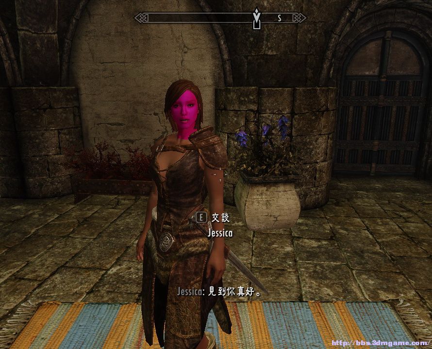 求助啊,mod随从的脸变成了这样的粉红色,还不止一个,搞得头大了