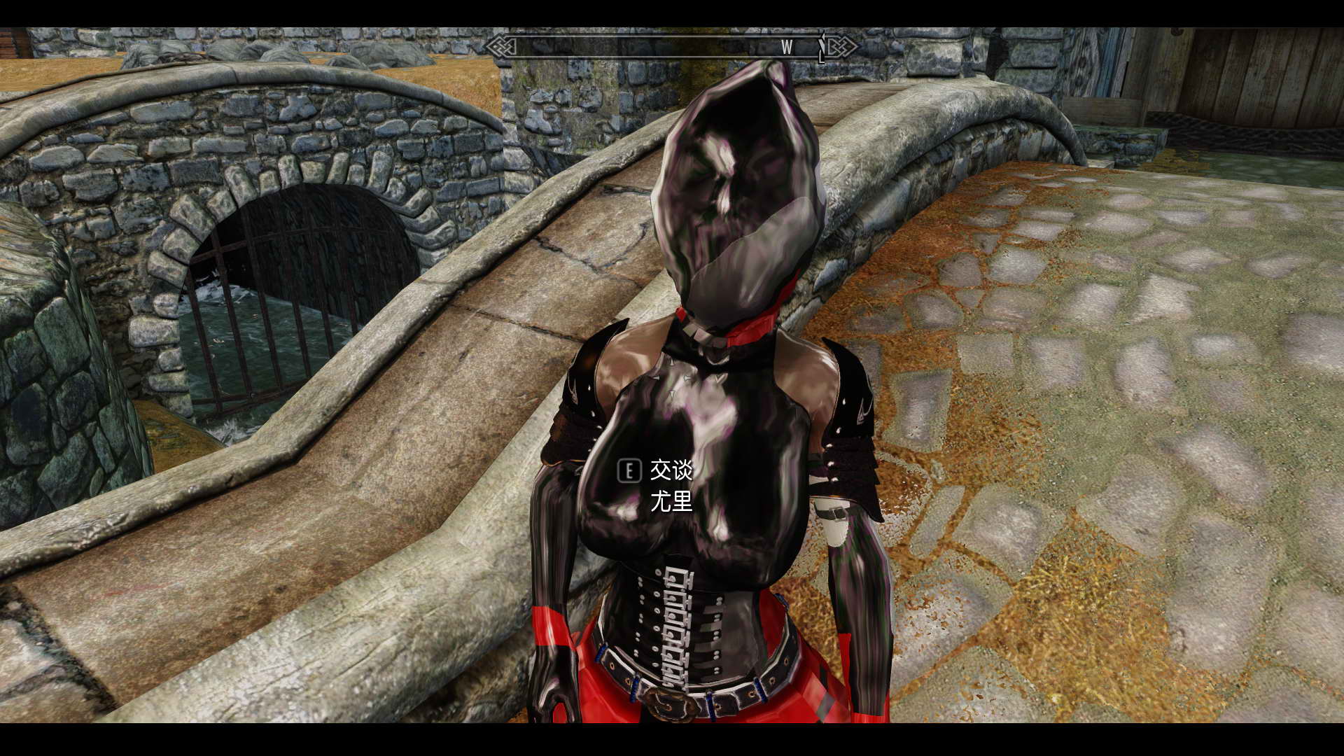 latex 乳胶衣类,不知道有没有火星 - 《上古卷轴5:天际》 - 3dmgame