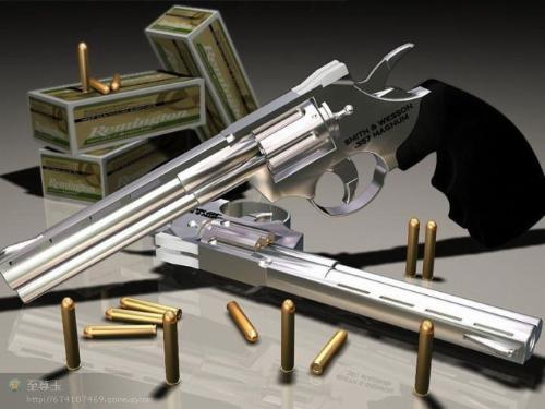 网上找magnum子弹和武器的图片～hoh游戏里的也有.