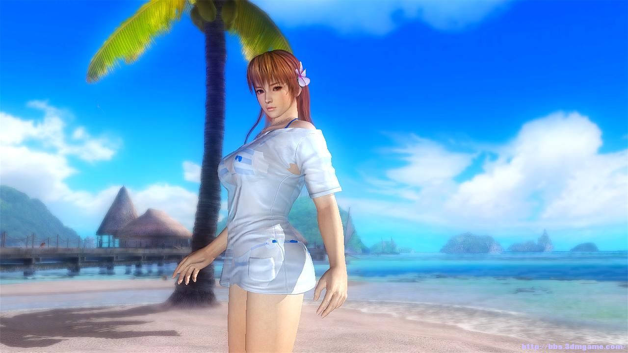 tmc格式的讨论 - 第31页 - 《死或生5:最后一战》 - 3dmgame论坛