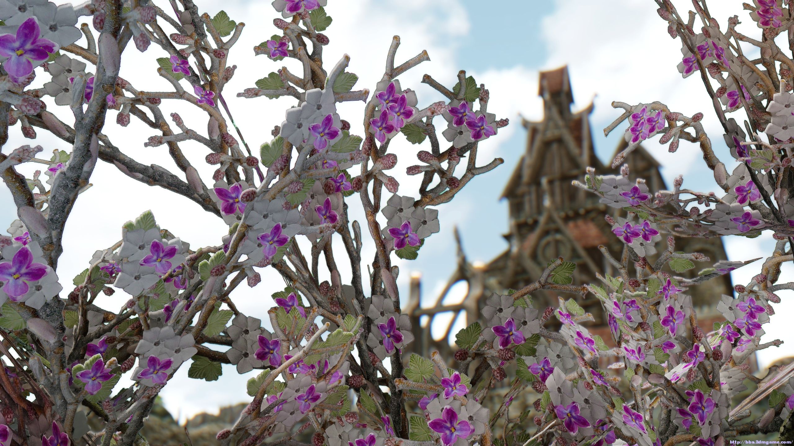 [指路] renthal hd flora all in one 4k 1k 花花草草