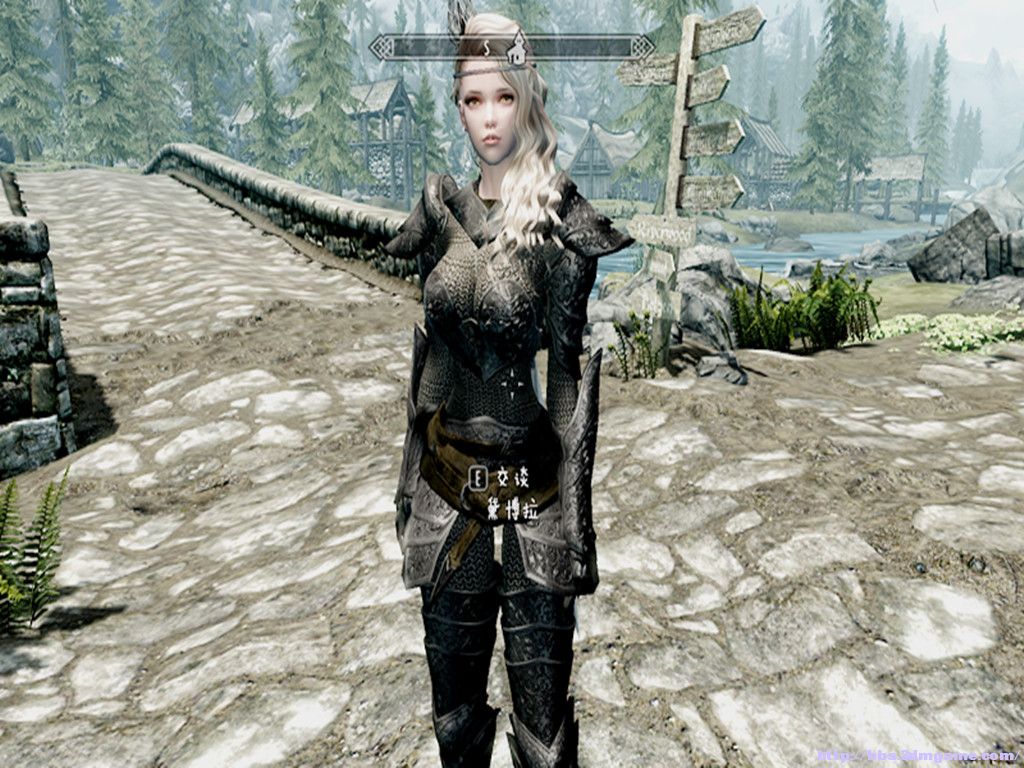 个人觉得非常漂亮的 女性重甲