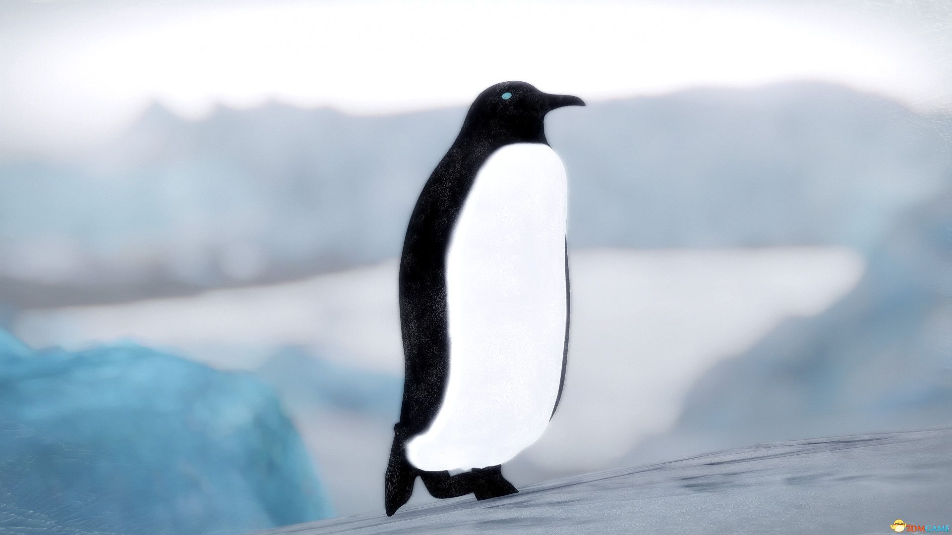 「△温斯顿企鹅随从&野生企鹅-winston the penguin&wild penguins▽