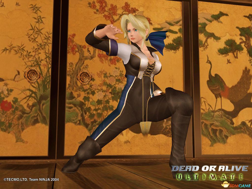 《死或生(dead or alive)》系列角色高清壁纸