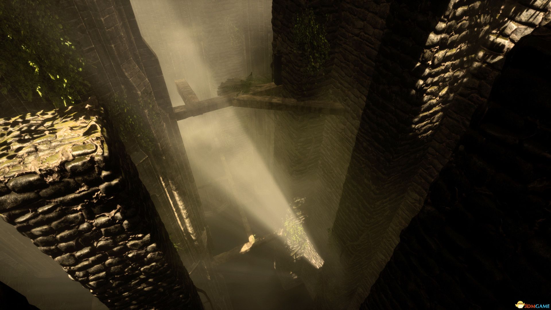 森林：逃离房间VR（The Woods: VR Escape the Room）VREX镜像版