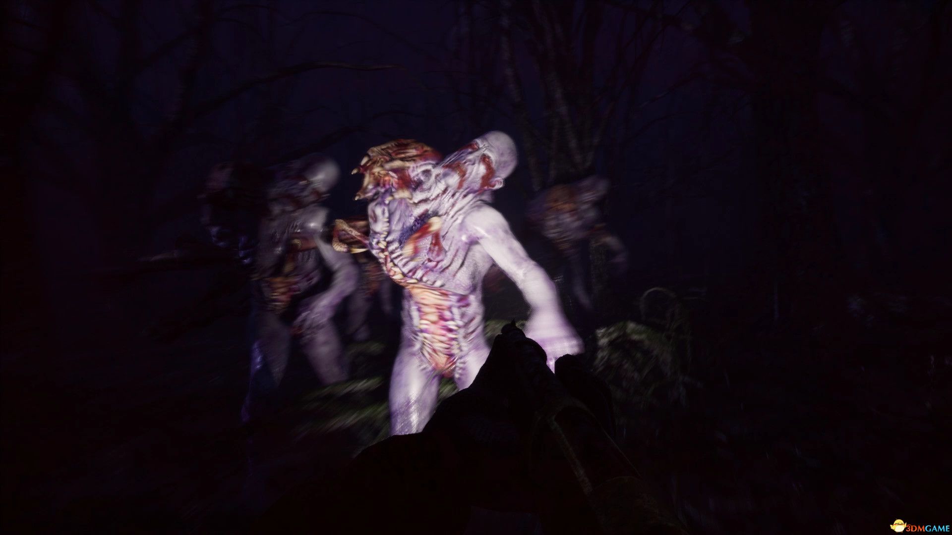 努力生存！（Try to Survive!）|解压即玩|