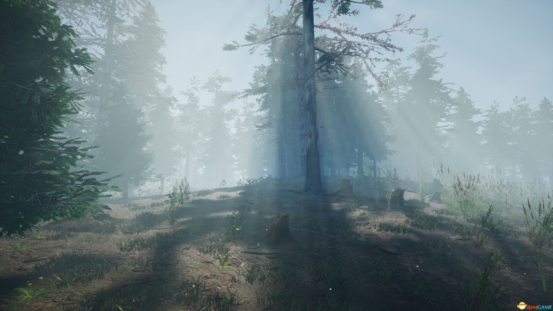 蘑菇采摘机模拟器（Mushroom Picker Simulator）|解压即玩|