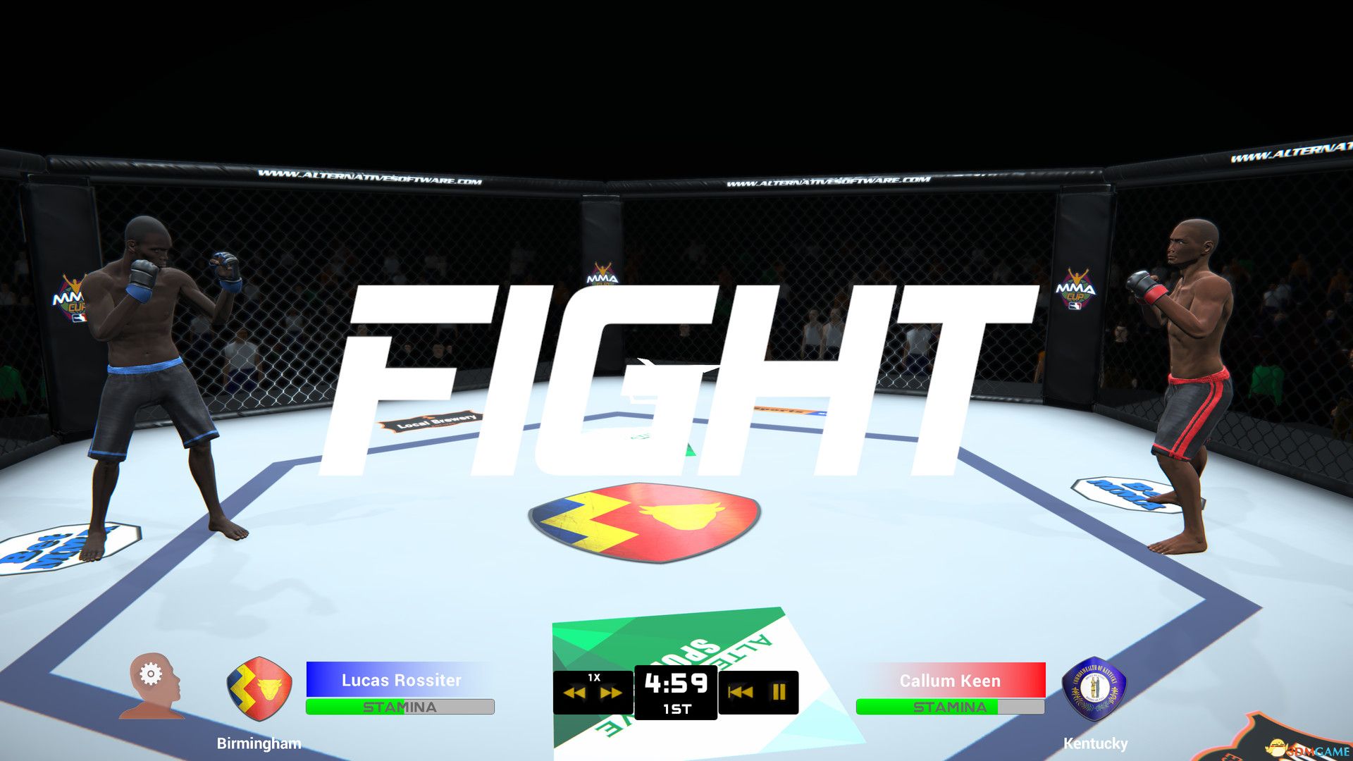 MMA俱乐部经理(MMA Team Manager)TiNYiSO镜像版