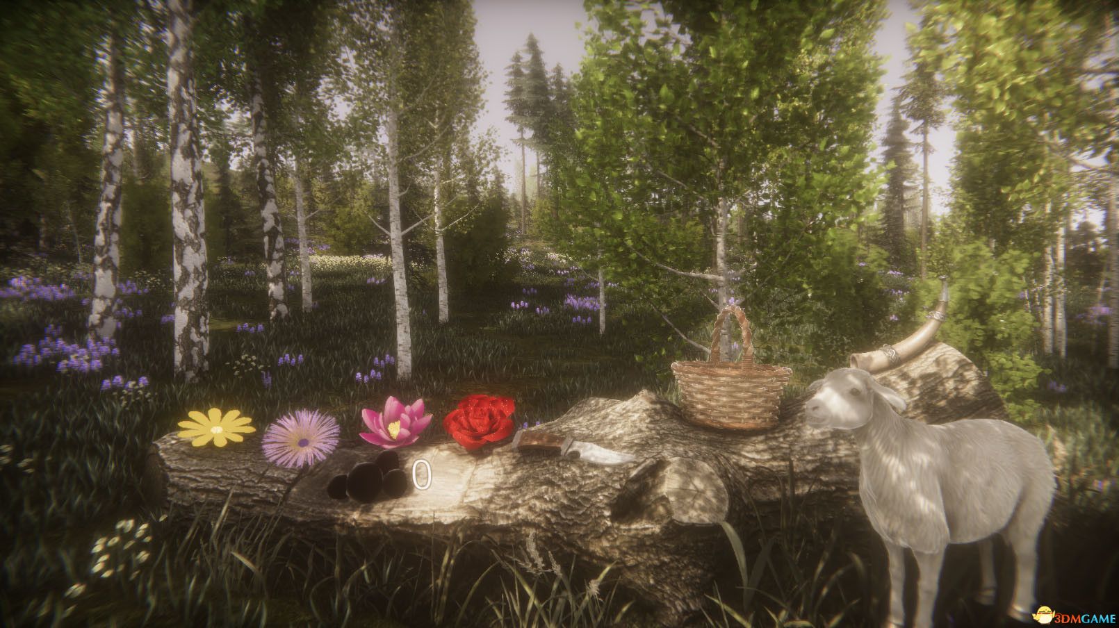 鲜花挑战赛（Flower Challenge）官方中文 Build 5589176 |解压即玩|版