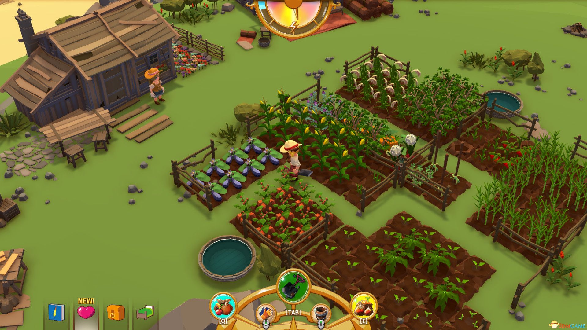 落难航船：诅咒之岛的探险者（Stranded Sails）|解压即玩|