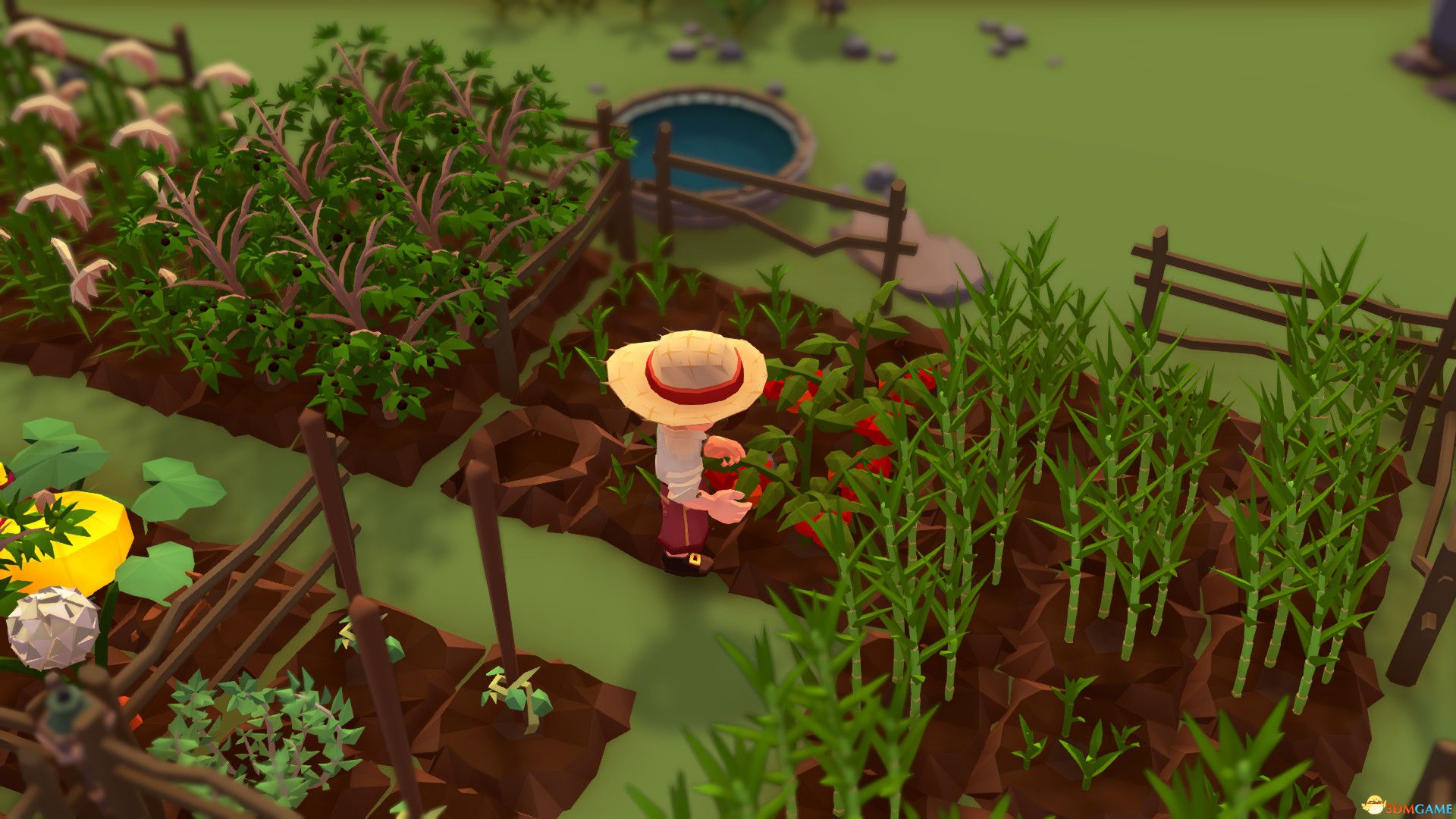 落难航船：诅咒之岛的探险者（Stranded Sails）|解压即玩|