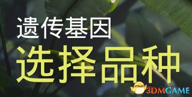 《生化变种》图文攻略 全职业属性天赋功夫武器流程选择等详解教程