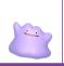 《宝可梦：朱紫》上手指南 食谱课程考试答案孵蛋刷闪攻略