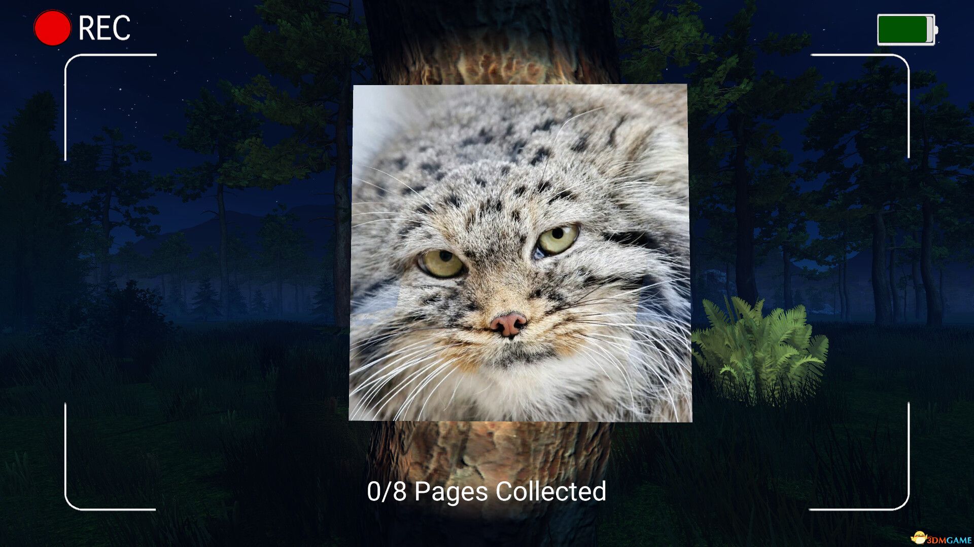 黑夜中的弗洛帕（DARK NIGHT WITH FLOPPA）|解压即玩|