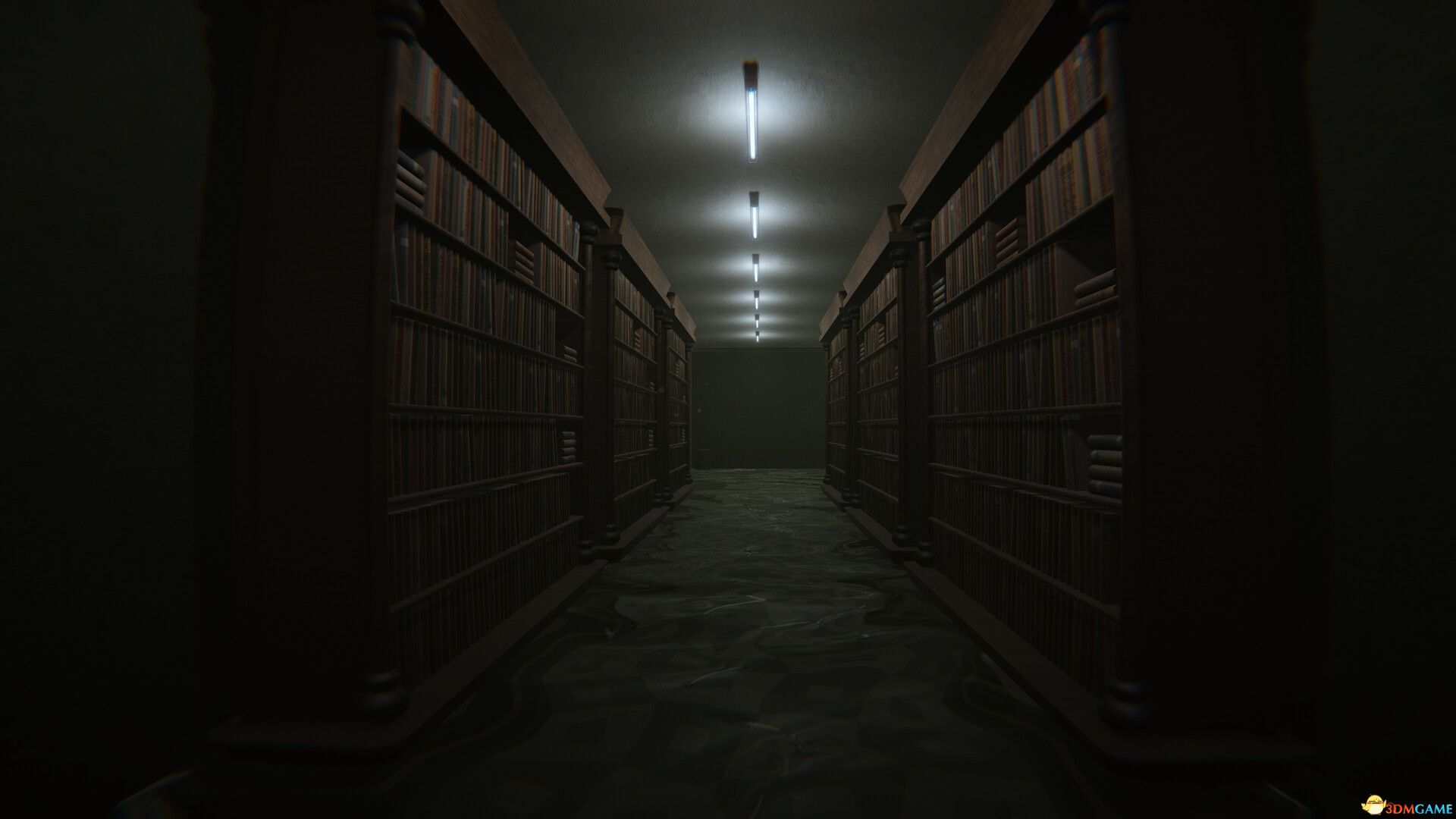 临界维度（The Liminal Dimension）官方中文 Build 16627351 |解压即玩|