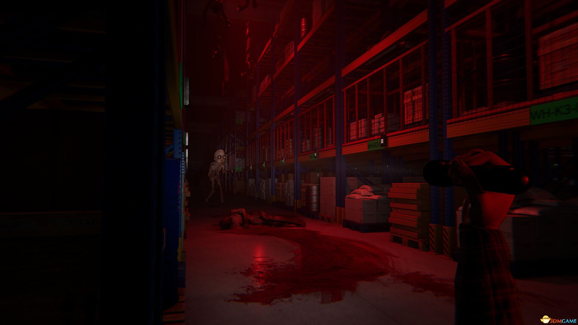 猫好货坏（ORDER 13）官方中文  TiNYiSO镜像版