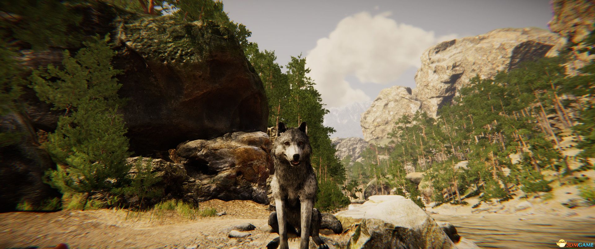 动物模拟器（Animal Simulator）|解压即玩|