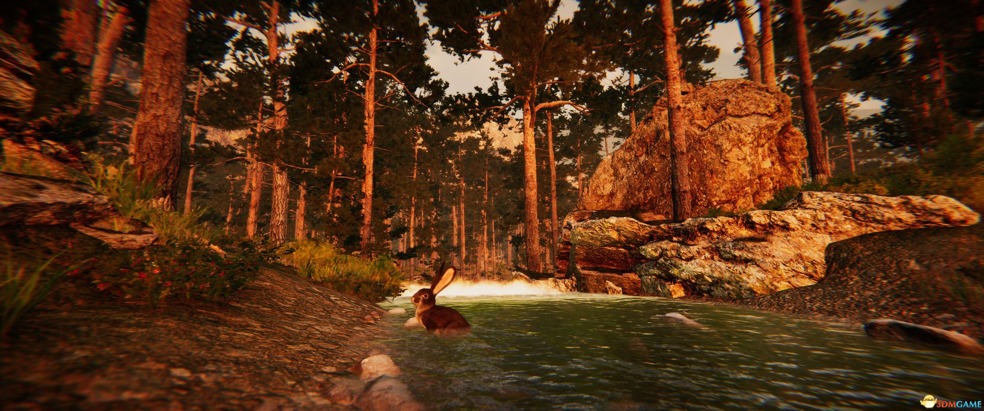 动物模拟器（Animal Simulator）|解压即玩|