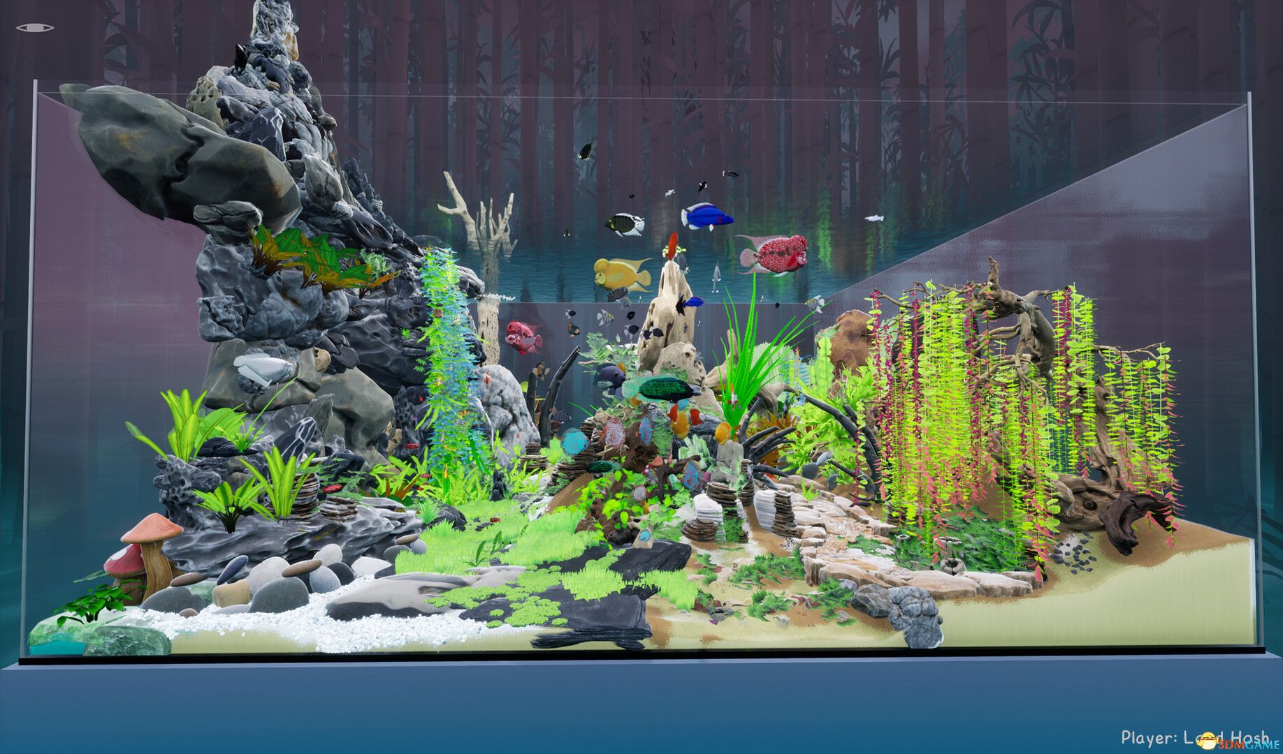 养鱼模拟器（Fish Game）集成印度次大陆鱼类DLC |解压即玩|