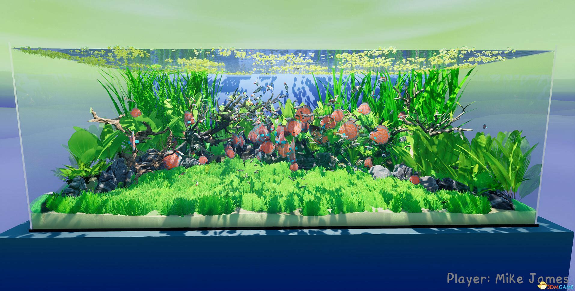 养鱼模拟器（Fish Game）集成印度次大陆鱼类DLC |解压即玩|