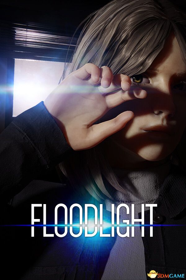 照明疑云（Floodlight）|解压即玩|