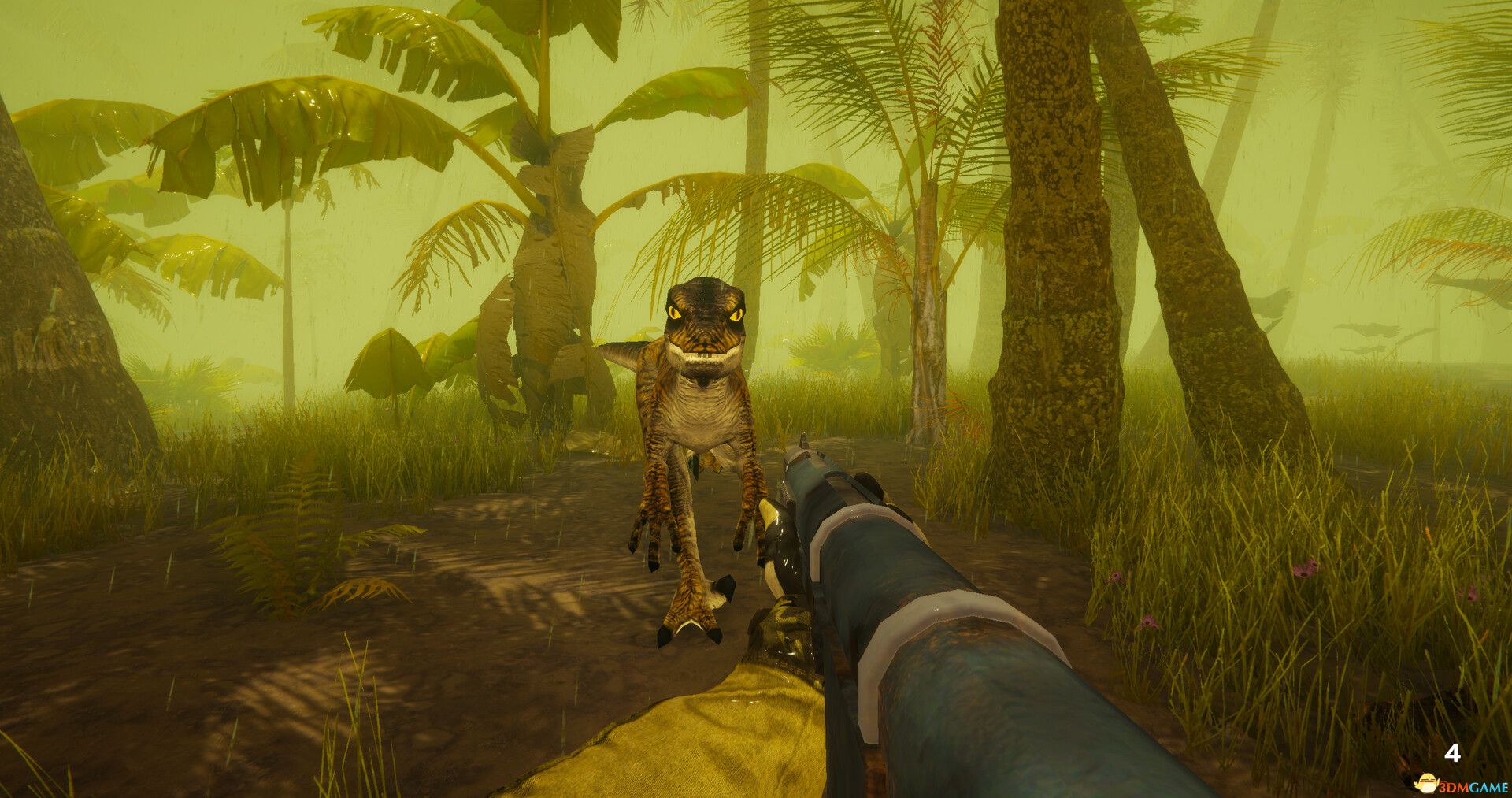 原始林泽（Primal Glade）VACE硬盘版