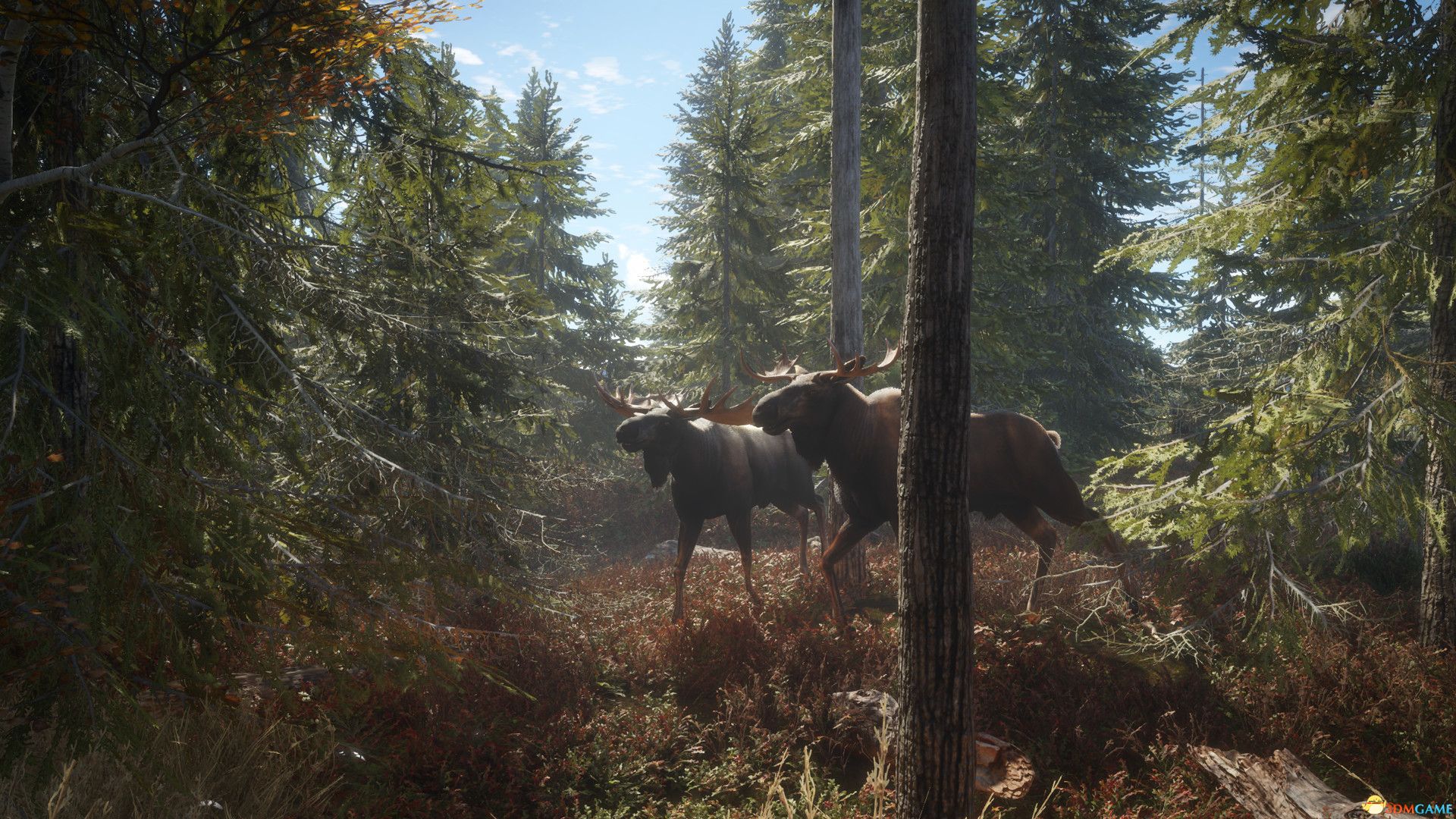 猎人：荒野的召唤（theHunter: Call of the Wild）集成阿斯基岭DLC |解压即玩|