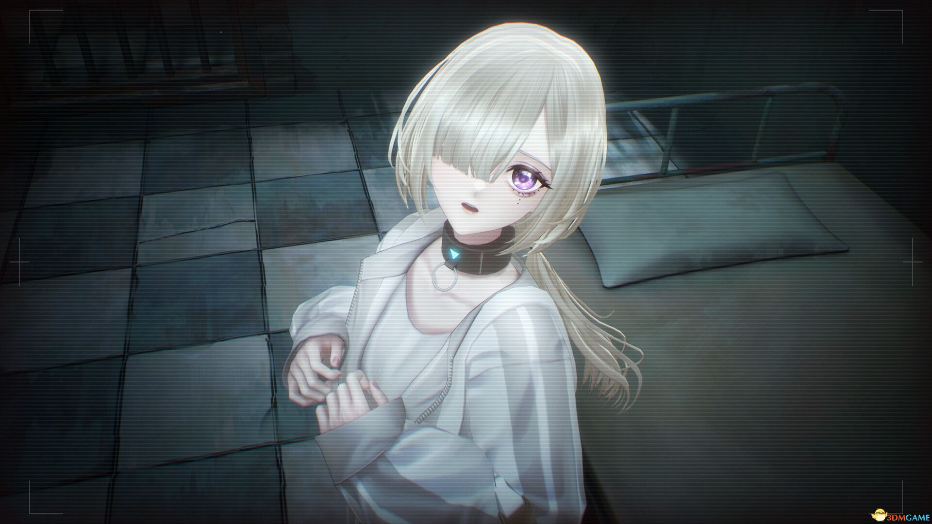 苏菲亚的谎言与代价(Sofia in Exchange for Lies)官方中文 |解压即玩|