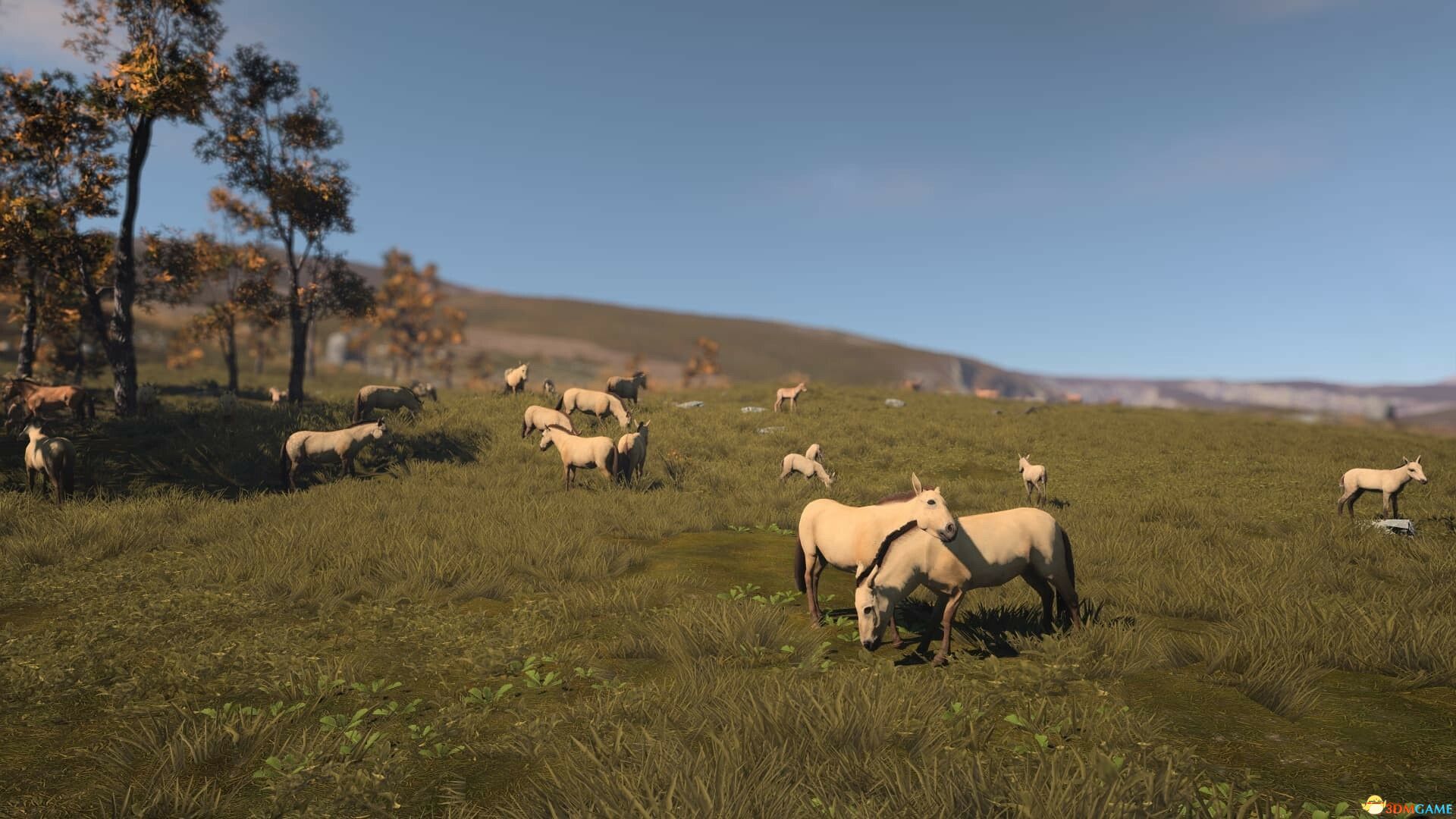 古老城市（Ancient Cities）官方中文 v1.7.34 |解压即玩|