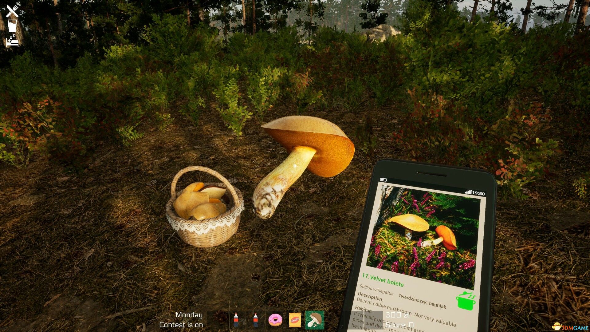 蘑菇季节(Mushroom Season)Build 17648725 |解压即玩|
