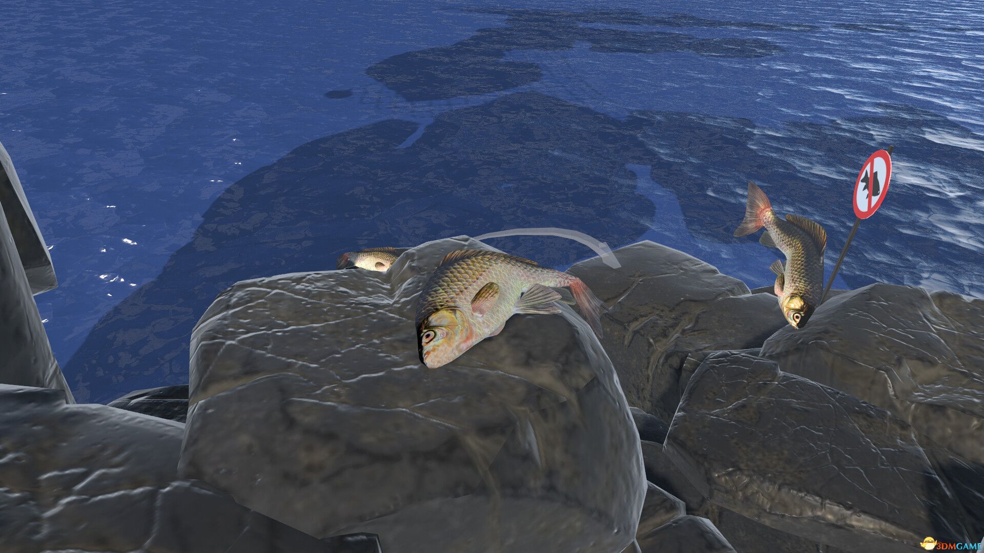 咸鱼翻身（Fish Hero）Build 15241364 |解压即玩|