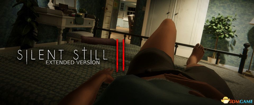 寂静无声2：扩展版（Silent Still 2 Extended Version）bADkARMA硬盘版