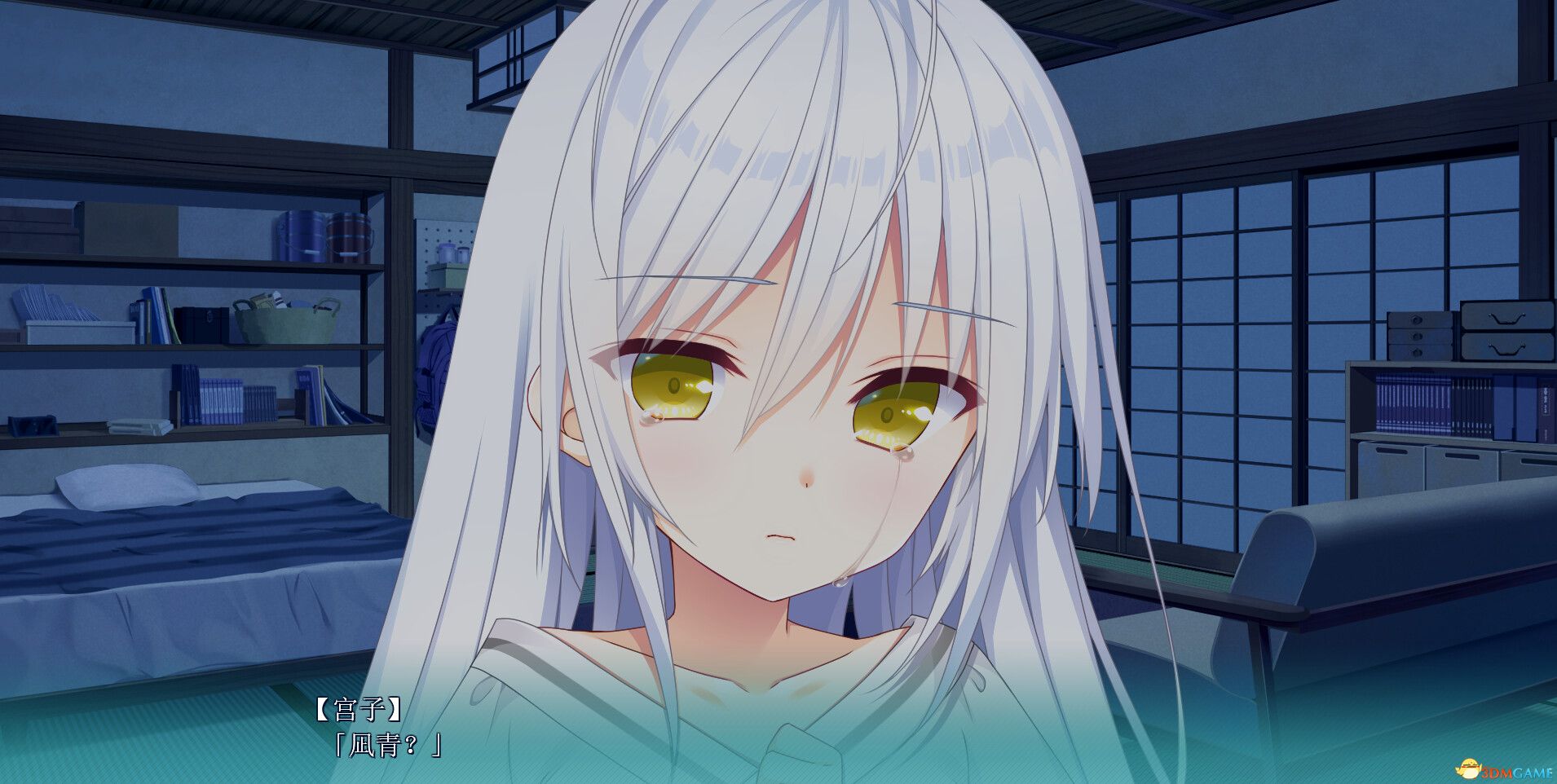 恋爱成双（Futamata Ren\'ai: Two Times the Trouble）|解压即玩|