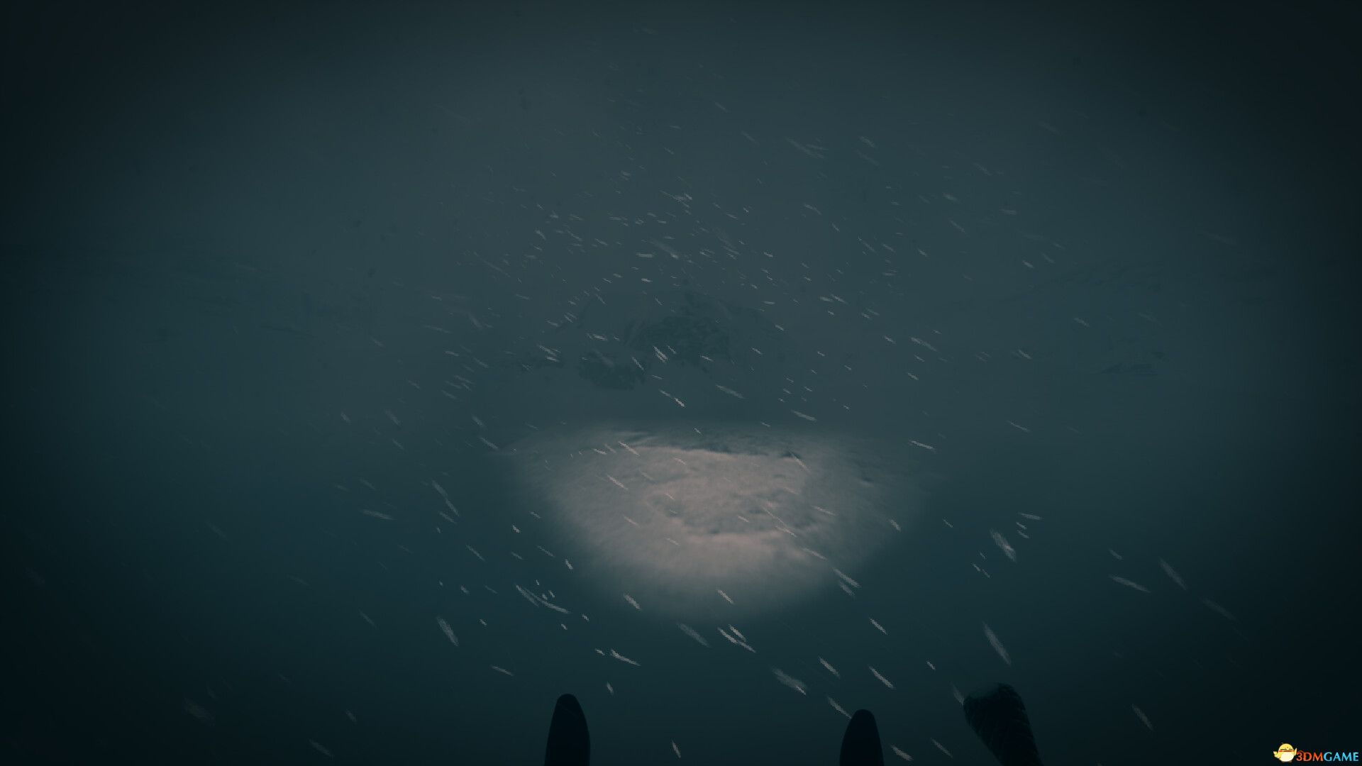 最后的滑雪之旅(The Last Ski Trip)官方中文 |解压即玩|