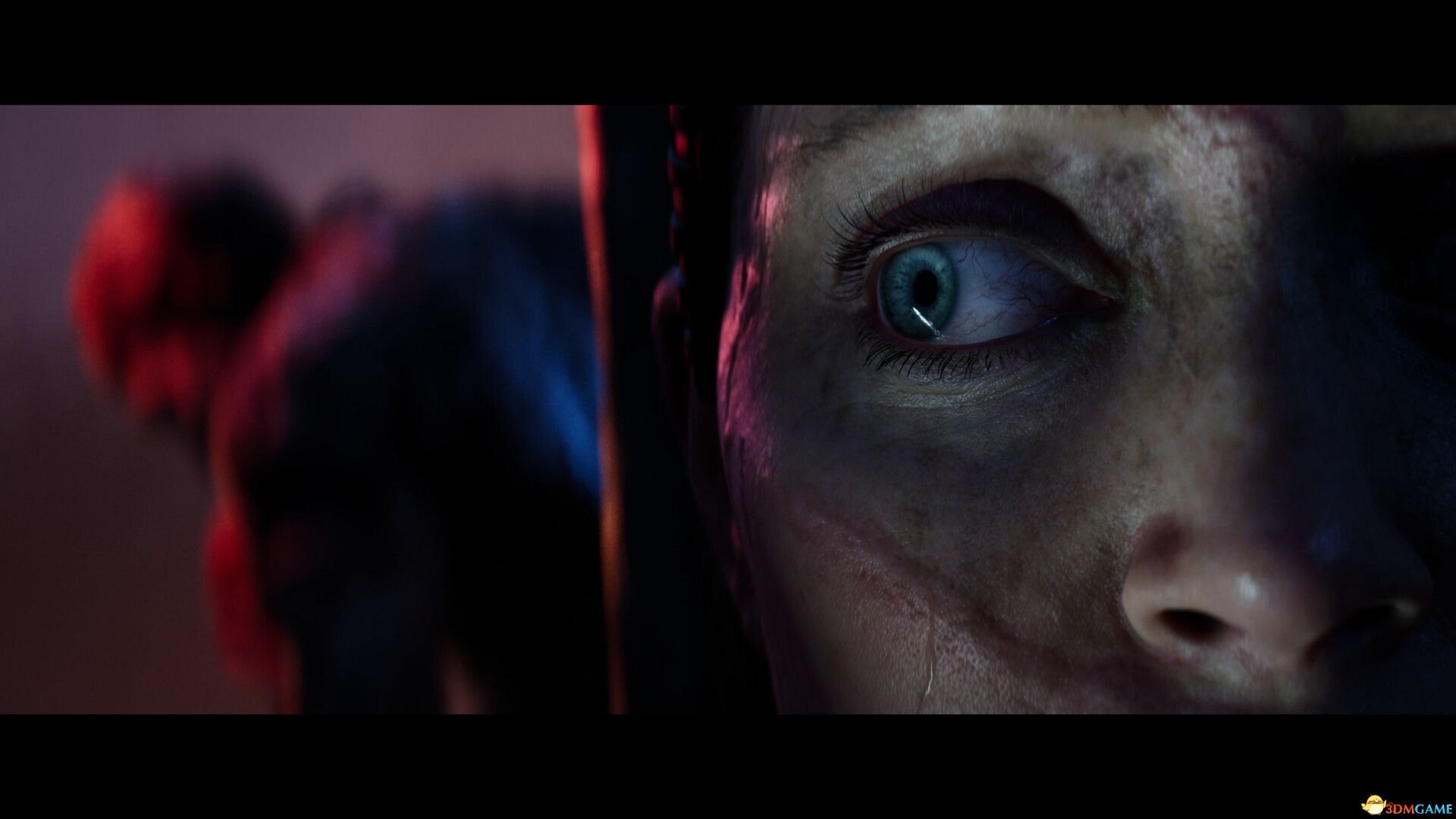 地狱之刃2：塞娜的献祭（Senua’s Saga: Hellblade II）官方中文 增强版 |解压即玩|